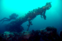 Lord Strathcona wreck